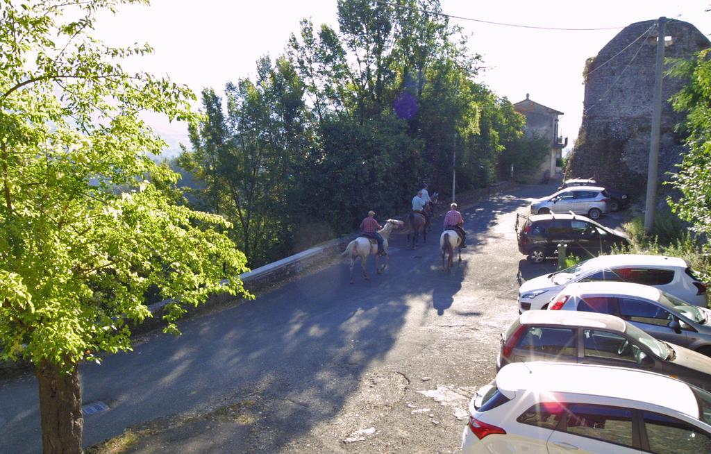 Forni Rosaia Villa Olivola  Dış mekan fotoğraf