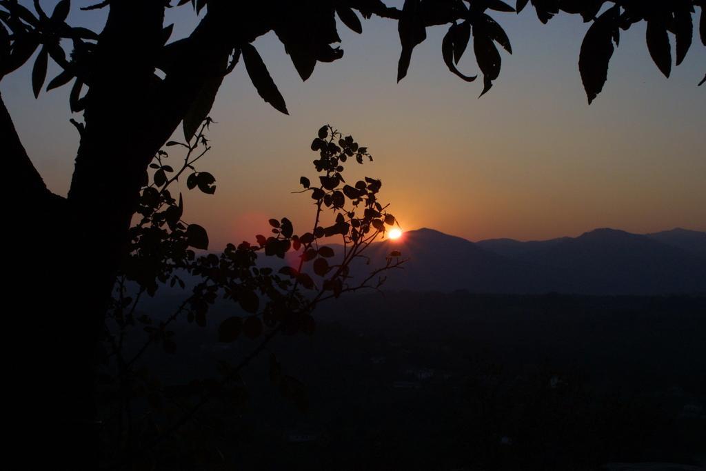 Forni Rosaia Villa Olivola  Dış mekan fotoğraf