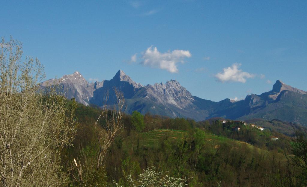 Forni Rosaia Villa Olivola  Dış mekan fotoğraf