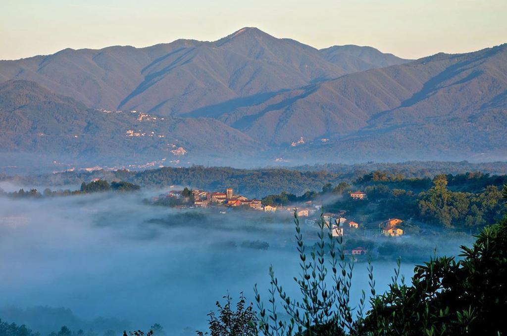 Forni Rosaia Villa Olivola  Dış mekan fotoğraf