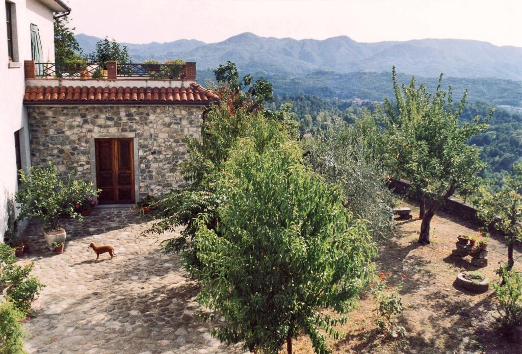 Forni Rosaia Villa Olivola  Dış mekan fotoğraf